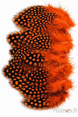 Parelhoen - 3-6 cm - oranje